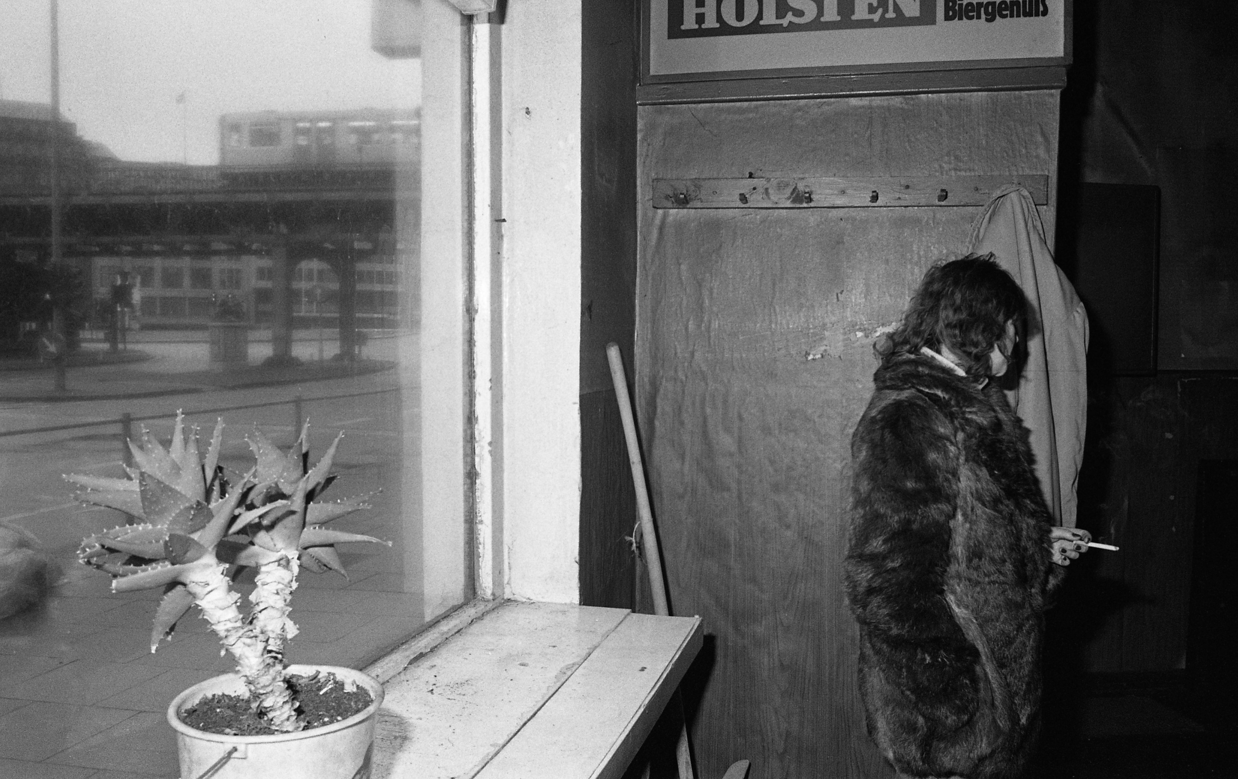 Kneipenpflanze I , Hamburg 1981